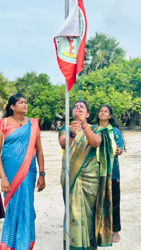 DS Cup 1