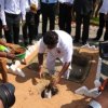 2017 கம்உதாவ 